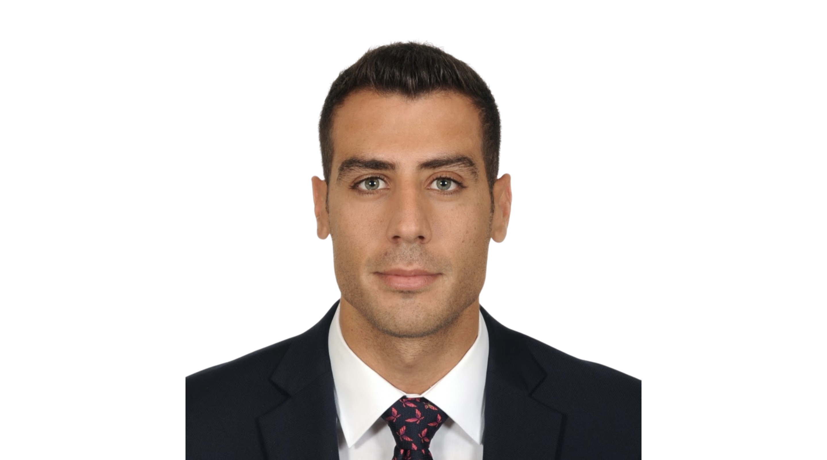 Διευθύνων Σύμβουλος